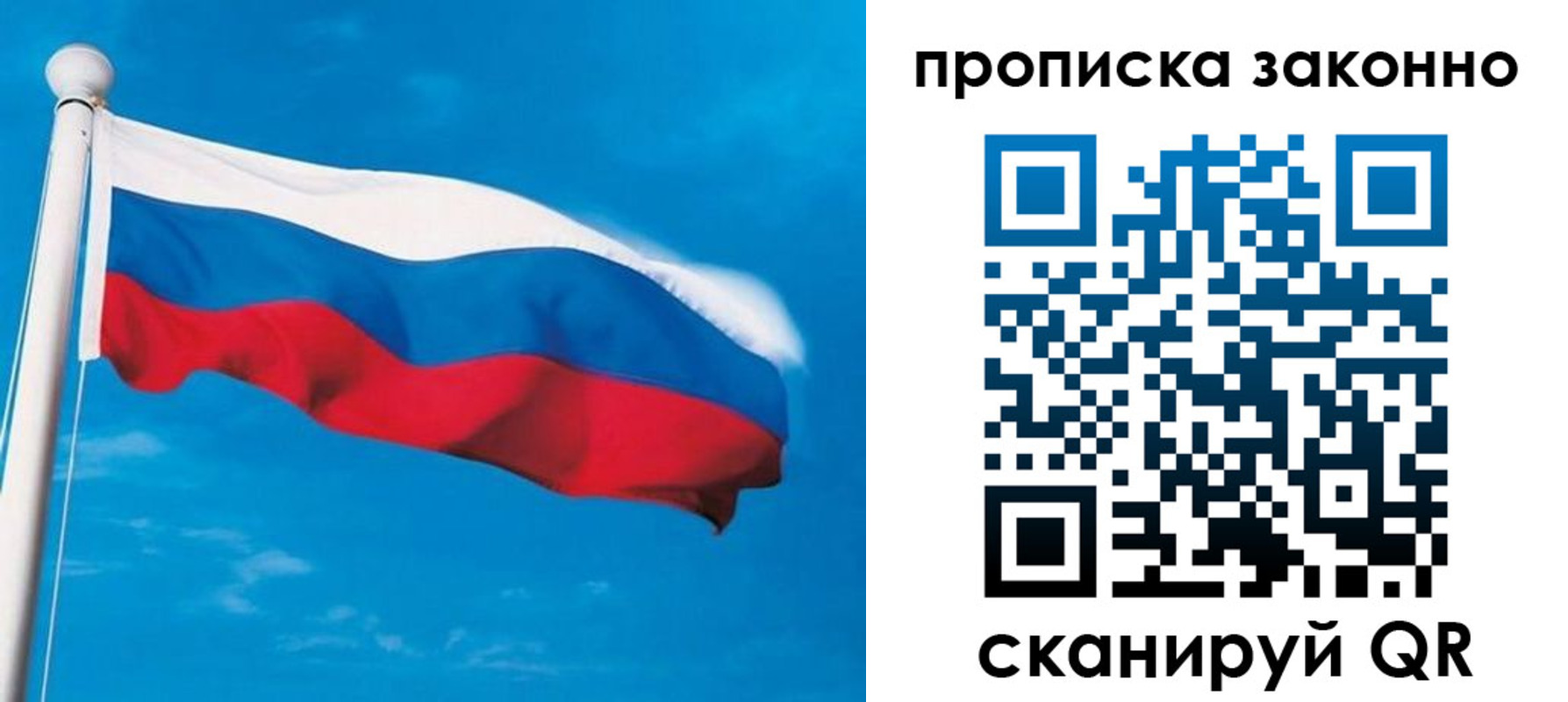 прописка гарантия в Фрязино